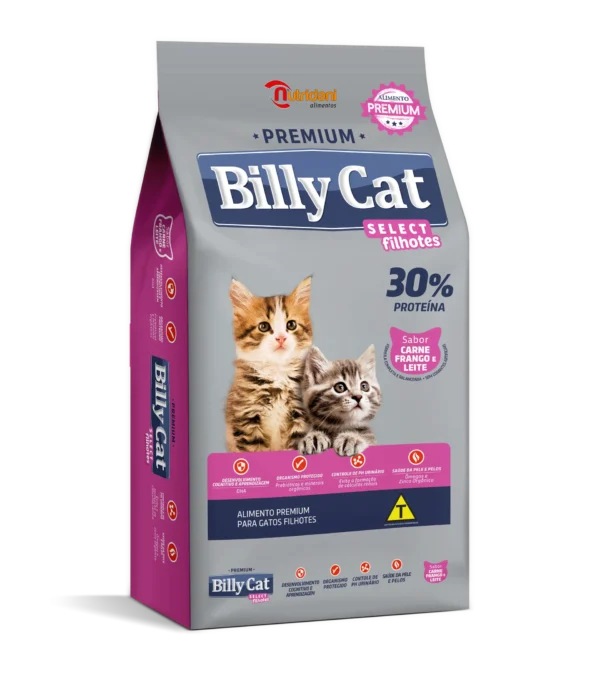 Billy Cat Select Filhotes